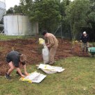 Packing up. Cambridge Tree Trust